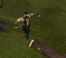 Walk over Log