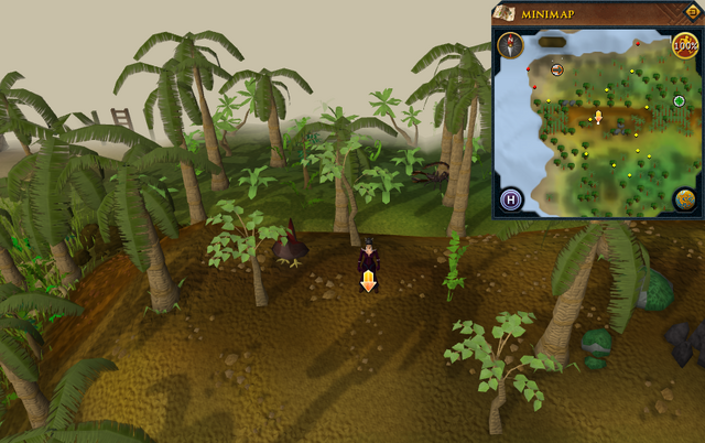 File:Scan clue Kharazi Jungle on ridge north-west corner of jungle.png