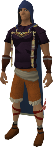 File:Defence hood equipped.png