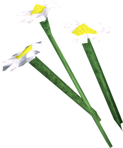 File:White flowers detail.png