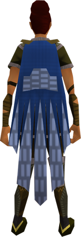 File:Team-26 cape equipped.png