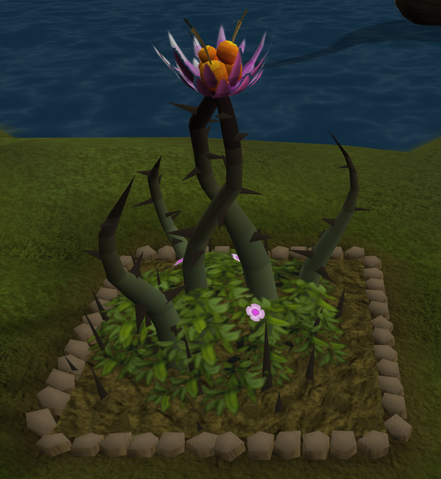 File:Barberry6.png
