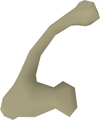 File:Curved bone detail.png