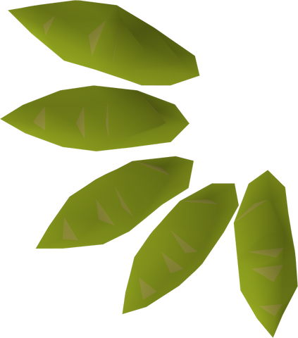 File:Willow seed detail.png