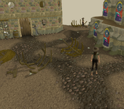 Wichhaven.png