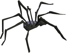 File:Kolodion spider old.png