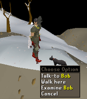Bob1.png