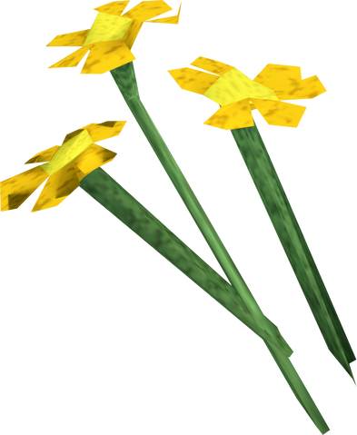 File:Orange flowers detail.png