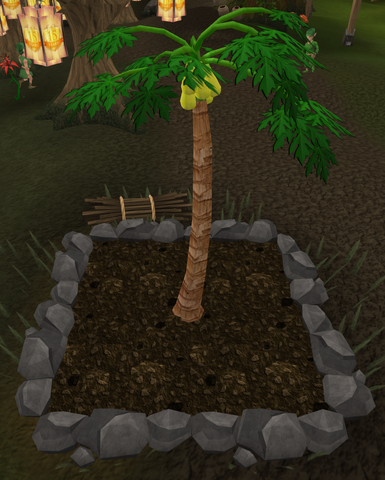 File:Papaya7.png