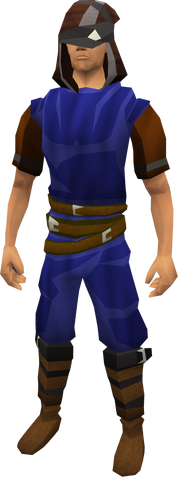 File:Shadow silk hood equipped.png