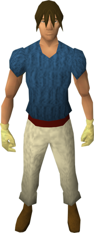 File:Goldsmith gauntlets equipped.png