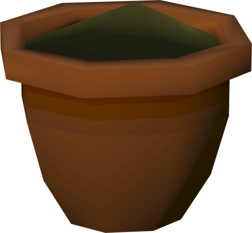 File:Yew seedling detail.png
