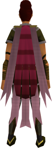 File:Team-9 cape equipped.png