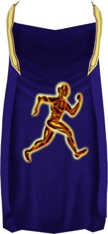 File:Agility cape detail.png