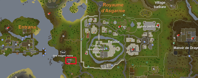 Fichier:Runescape morphomage.gif
