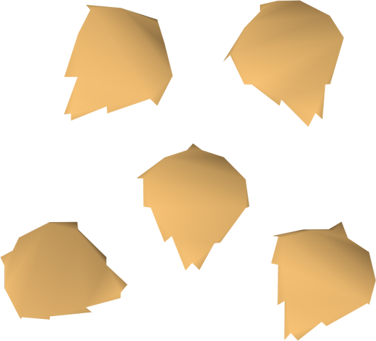 File:Tomato seed detail.png