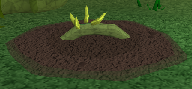 File:Blue vine blossom2.png