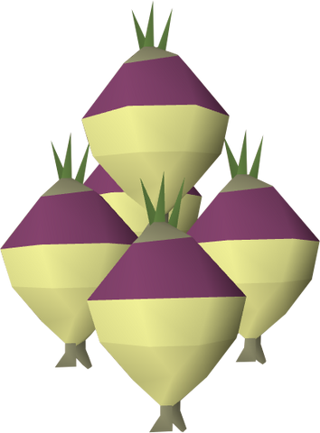 File:Shrunk ogleroot detail.png