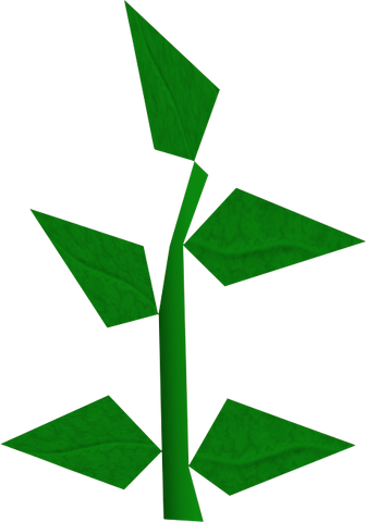 File:Equa leaves detail.png