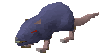 File:Giant rat old.gif