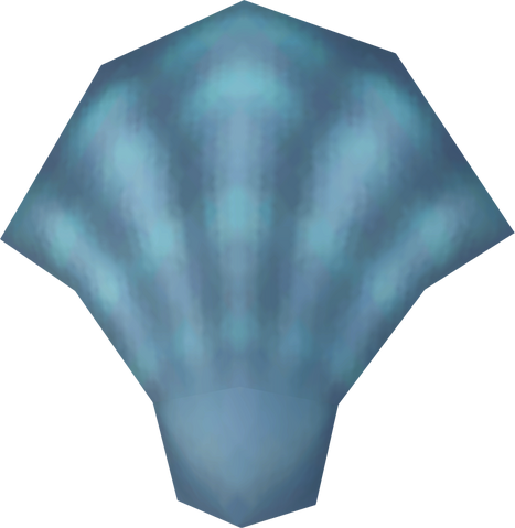 File:Sea shell detail.png