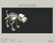 Hw11 muncher