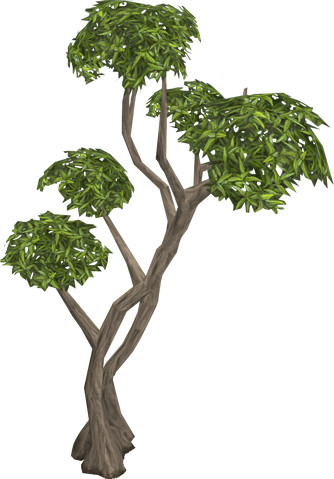 File:Eucalyptus Tree.png
