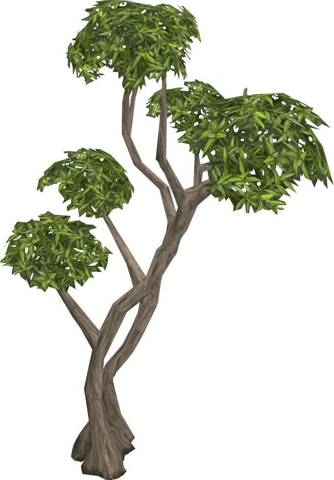 Eucalyptus tree | RuneScape Wiki | FANDOM powered by Wikia
