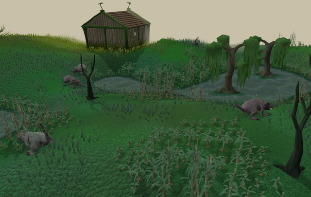 File:Lumbridge swamps old.png