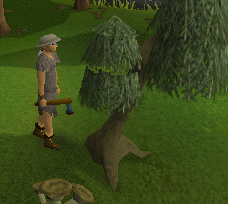 Woodcutting Tree.gif