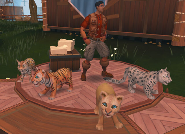 File:Big Cats news image.jpg