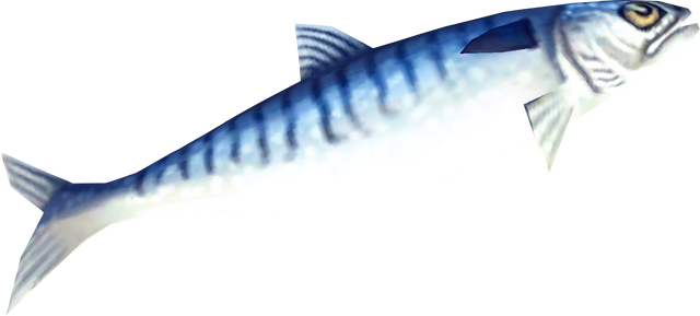 File:Raw seerfish detail.png