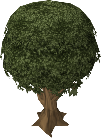File:Sassafras tree.png
