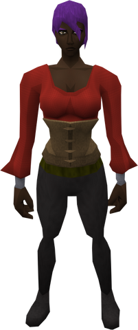 File:Retro tunic and bodice.png