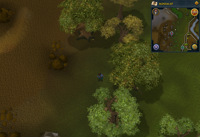File:Compass clue Tree Gnome Stronghold outside Char's training cave.png