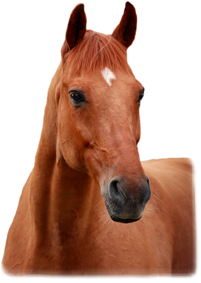 Súbor:Bez názvu22221.png