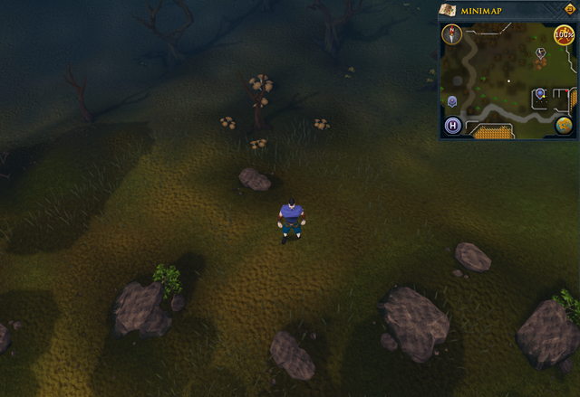 File:Compass clue Draynor south-west of clay site.png