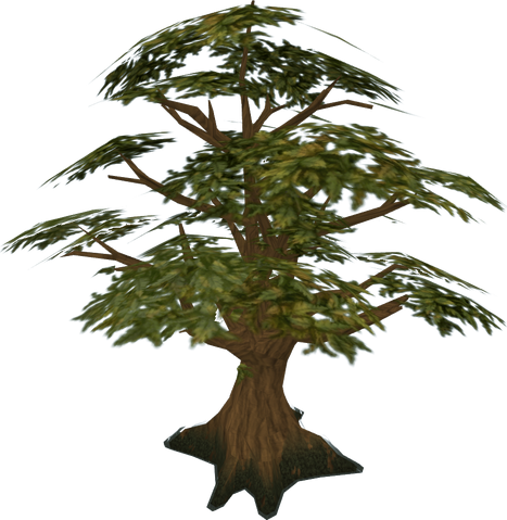 File:Oak tree.png