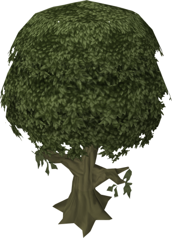File:Ailanthus tree.png