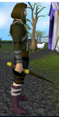 File:Teacher wand equipped.png