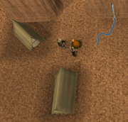 Acampscab.png