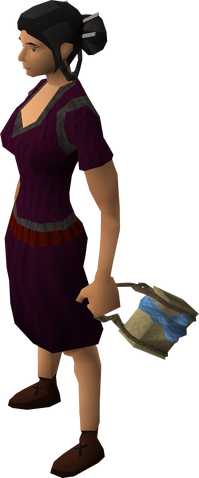 File:Rune satchel equipped.png