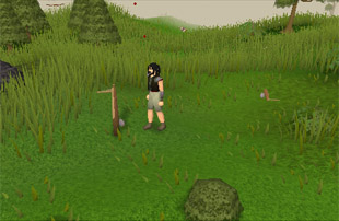 Birdsnaring.jpg