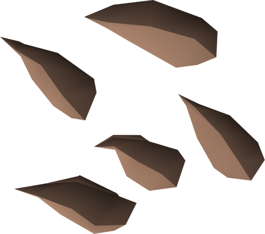 File:Potato cactus seed detail.png