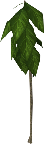 Plik:Teaktree.png