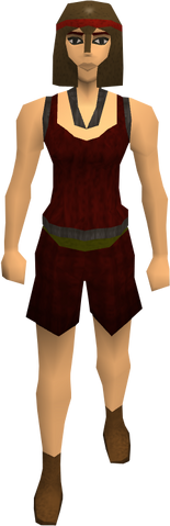 File:Bronze helm equipped old.png