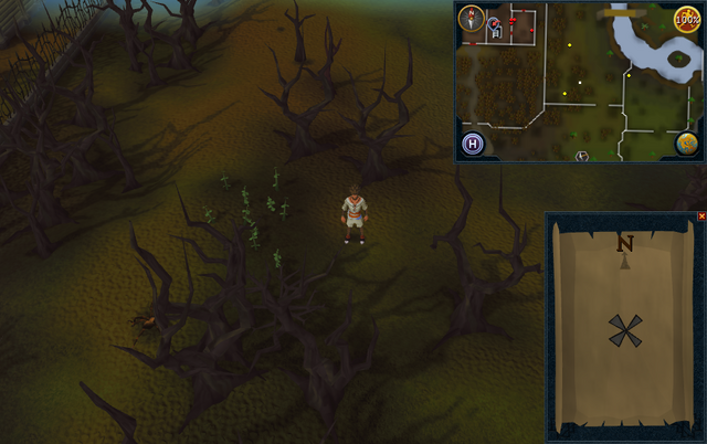 File:Compass clue Draynor east of Draynor Manor.png