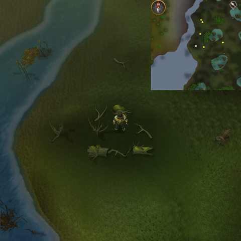 File:Druid pouch 8-item location.png