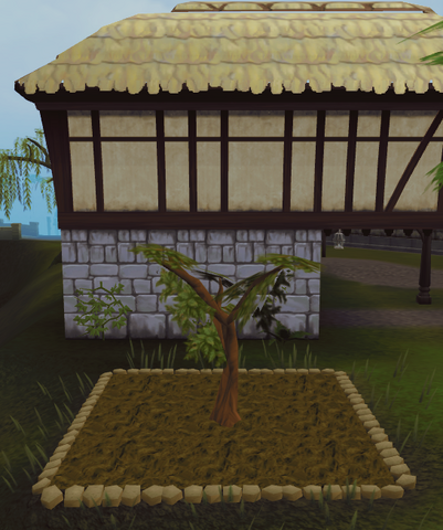 File:Oak2.png