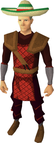 File:Sombrero equipped.png
